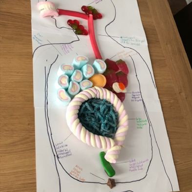 tsa_HomeLearningScience (50)